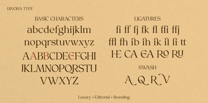 Cavario Font Poster 2