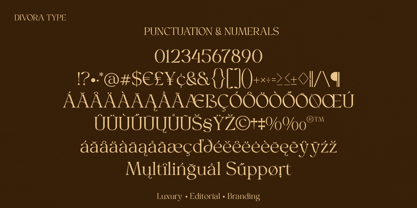 Cavario Font Poster 3