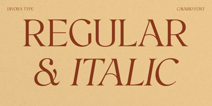 Cavario Font Poster 12