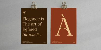 Cavario Font Poster 7