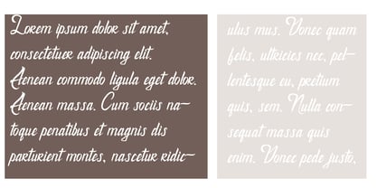 ZP Aspiration Font Poster 5