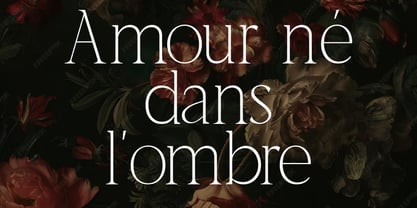 Romira Etoile Font Poster 3
