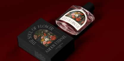 Romira Etoile Font Poster 7