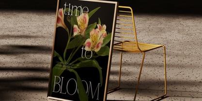 Romira Etoile Font Poster 6