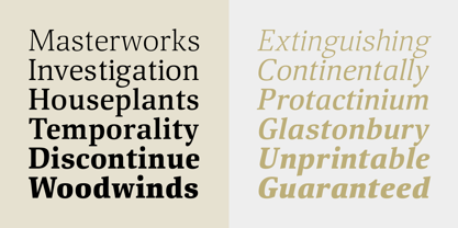 Viale Font Poster 5