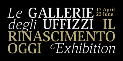Viale Font Poster 10