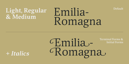 Viale Font Poster 9