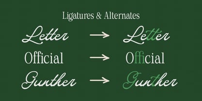 Special Handmade Script Font Poster 12