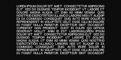 Zenvora Font Poster 3