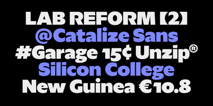 Catalize Font Poster 7