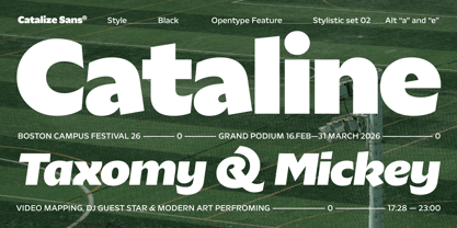 Catalize Font Poster 13