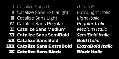 Catalize Font Poster 2