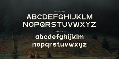 Donvo Font Poster 2