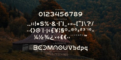 Donvo Font Poster 7