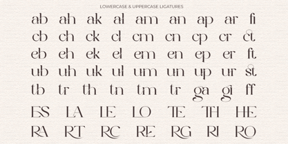 Roman Escort Font Poster 3