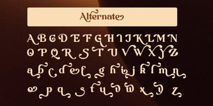 Qontra Font Poster 11