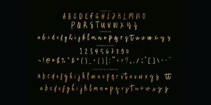 Fiore Raro Brush Font Poster 6
