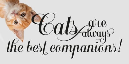Claricia Font Poster 2