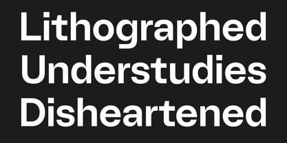 Wasa Font Poster 7
