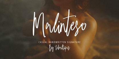 Malinteso Signature Font Poster 1
