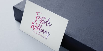 Malinteso Signature Font Poster 10