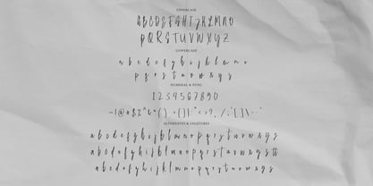 Malinteso Signature Font Poster 9