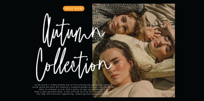 Malinteso Signature Font Poster 2