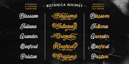 Botanica Whimsy Font Poster 10