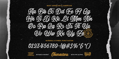 Botanica Whimsy Font Poster 3