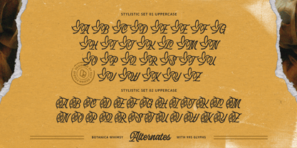 Botanica Whimsy Font Poster 6