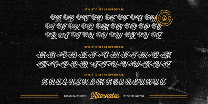 Botanica Whimsy Font Poster 7