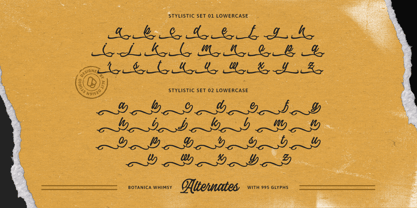 Botanica Whimsy Font Poster 9