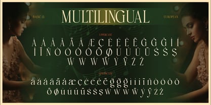 Bravibe Font Poster 11