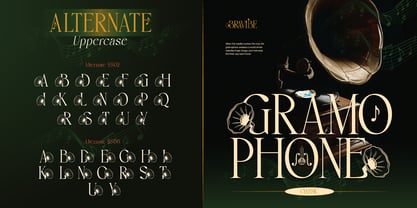 Bravibe Font Poster 7