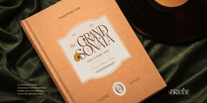 Bravibe Font Poster 6