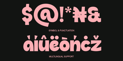 Bayfin Font Poster 9