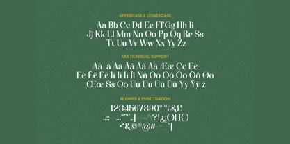 Darrylene Font Poster 5