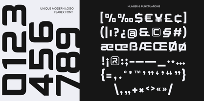 Flarex Font Poster 12