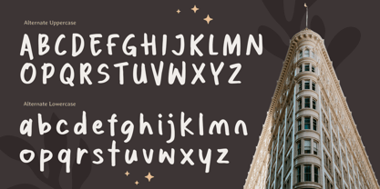 Book Tittle Font Poster 11