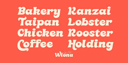 Wiona Font Poster 4