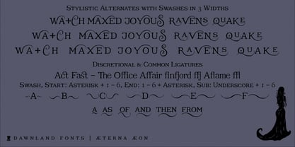 Aeterna Aeon Font Poster 3