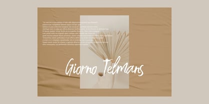 Backstand Sunday Brush Font Poster 3