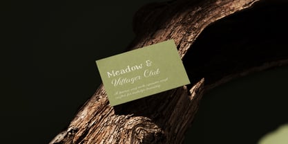 Meadow Villager Club Font Poster 8