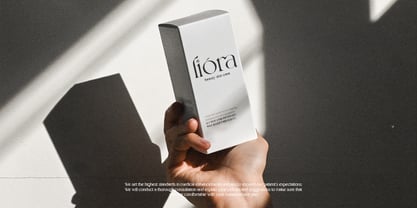 Relight Font Poster 4