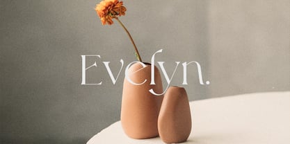 Relight Font Poster 6