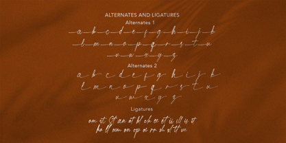 Great Publicity Font Poster 8