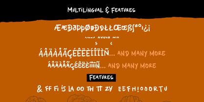 Quick Scribble Font Poster 11