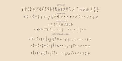 Blistwing Signature Font Poster 7