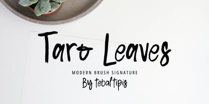 Taro Leaves Brush Font Poster 1