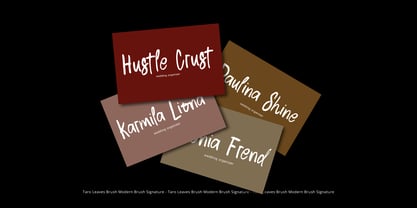 Taro Leaves Brush Font Poster 9